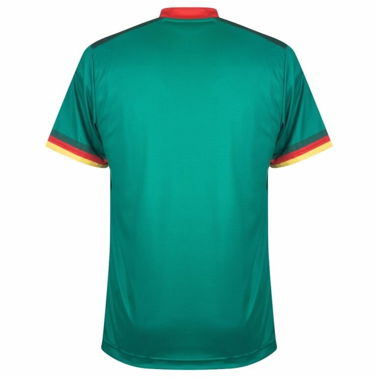 Maillot cameroun domicile coupe du monde 2022 2