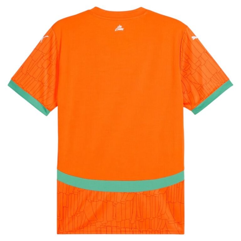 Maillot cote divoire domicile 2024 2025 2